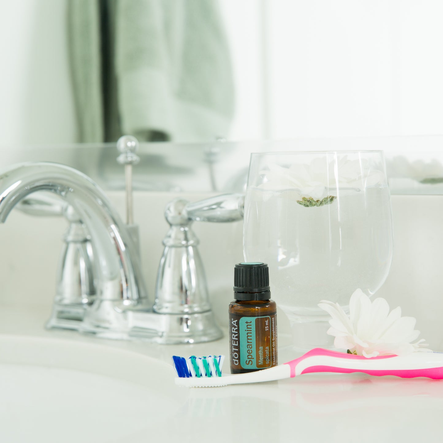 SPEARMINT (Hierbabuena dōTERRA: Antiséptico, Descongestionante, Digestivo y Espasmolítico.