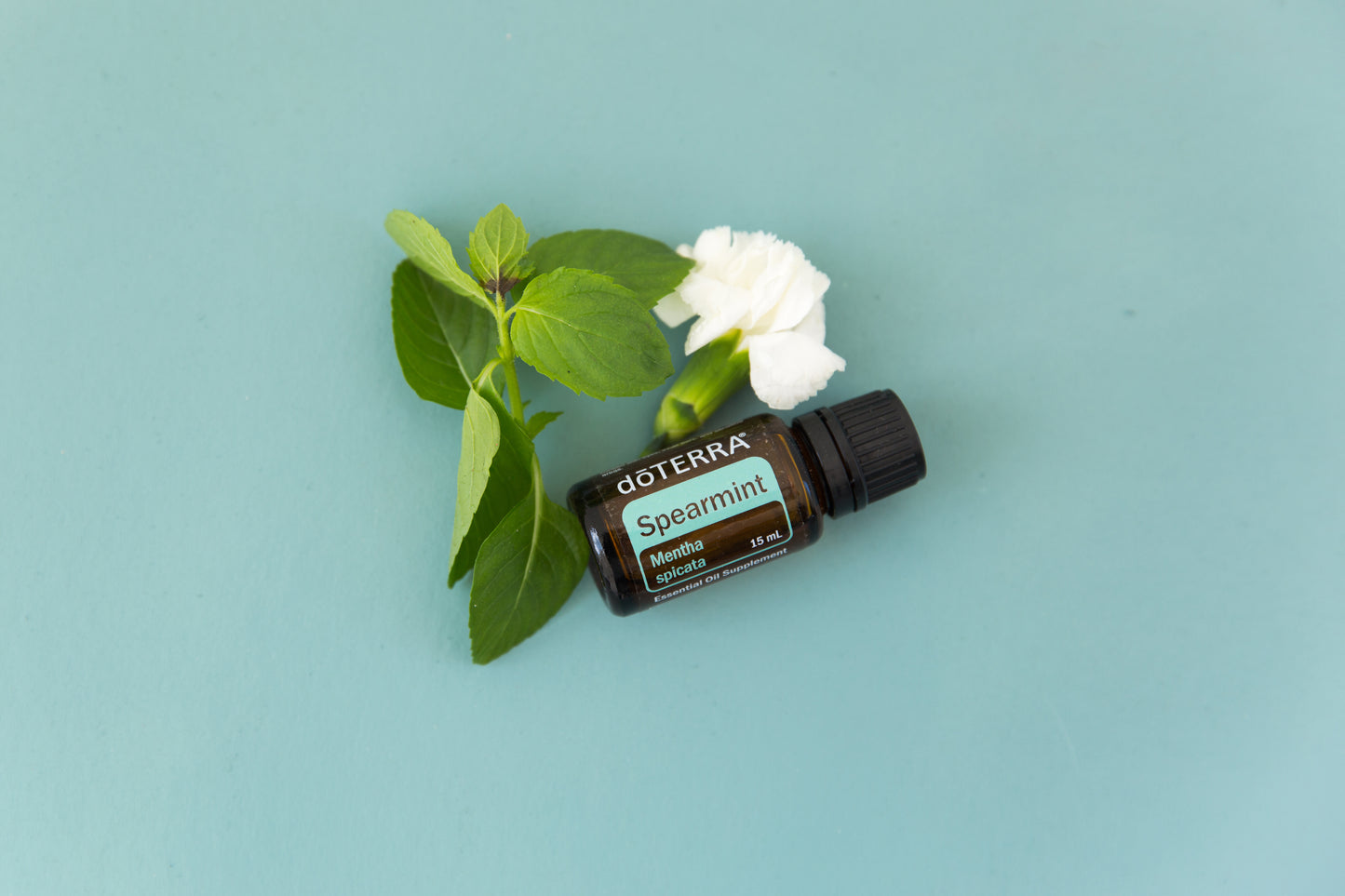 SPEARMINT (Hierbabuena dōTERRA: Antiséptico, Descongestionante, Digestivo y Espasmolítico.